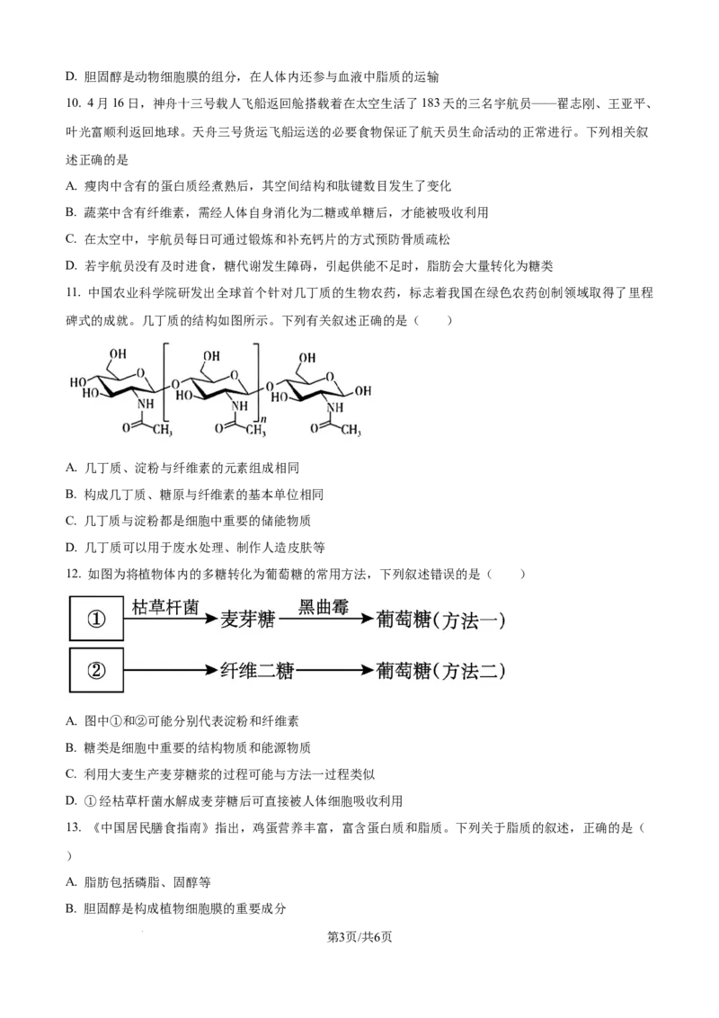 精品解析：吉林省通化市梅河口市第五中学2025-2026学年高一上学期10月月考生物试题（原卷版）_2025年10月高一试卷
