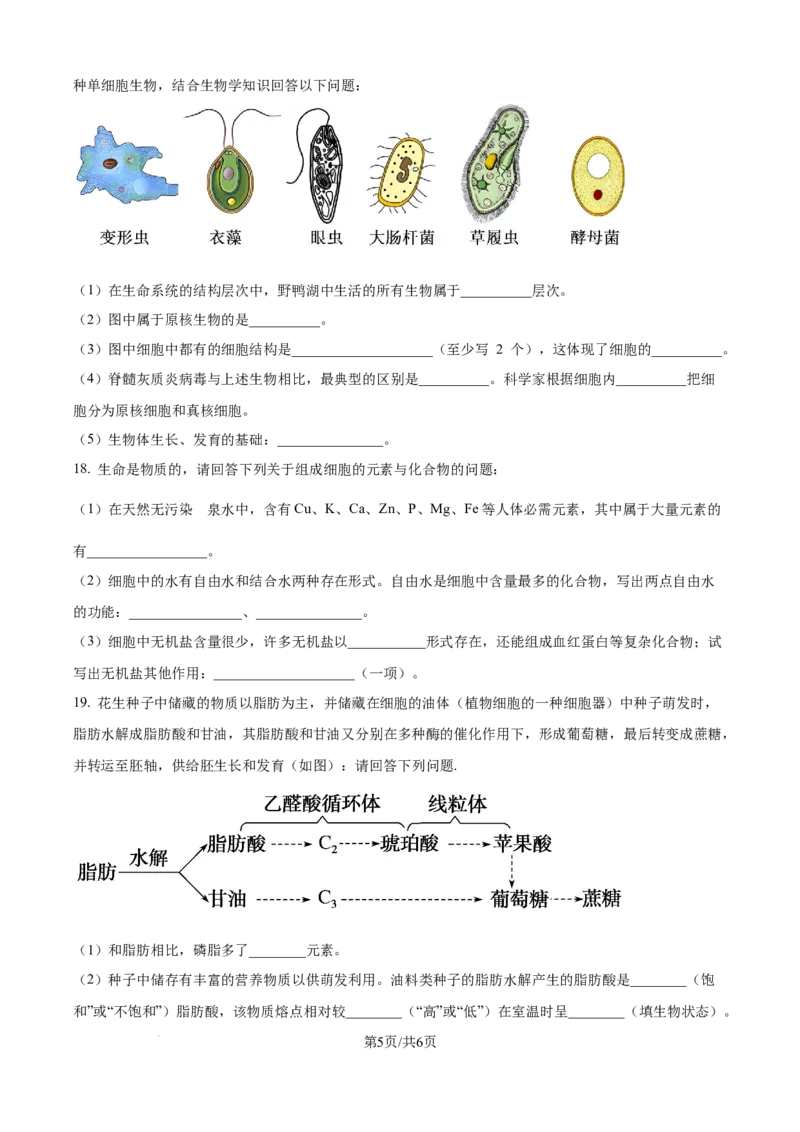 精品解析：吉林省通化市梅河口市第五中学2025-2026学年高一上学期10月月考生物试题（原卷版）_2025年10月高一试卷