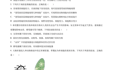 精品解析：吉林省通化市梅河口市第五中学2025-2026学年高一上学期10月月考生物试题（原卷版）_2025年10月高一试卷