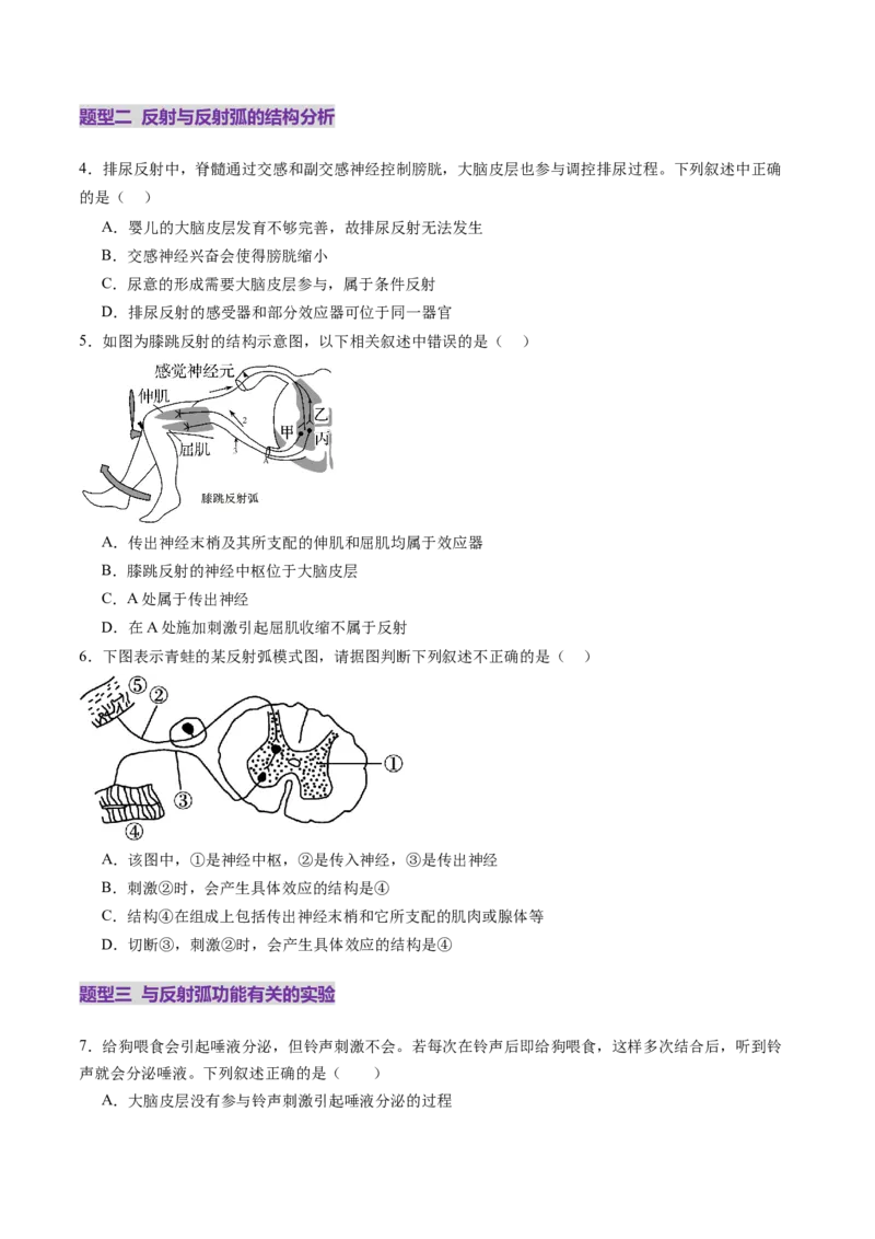 第25讲神经调节（第一课时，神经调节的结构基础及基本方式）（练习）（原卷版）_2025年新高考资料_一轮复习_2025年高考生物一轮复习讲练测（新教材新高考）