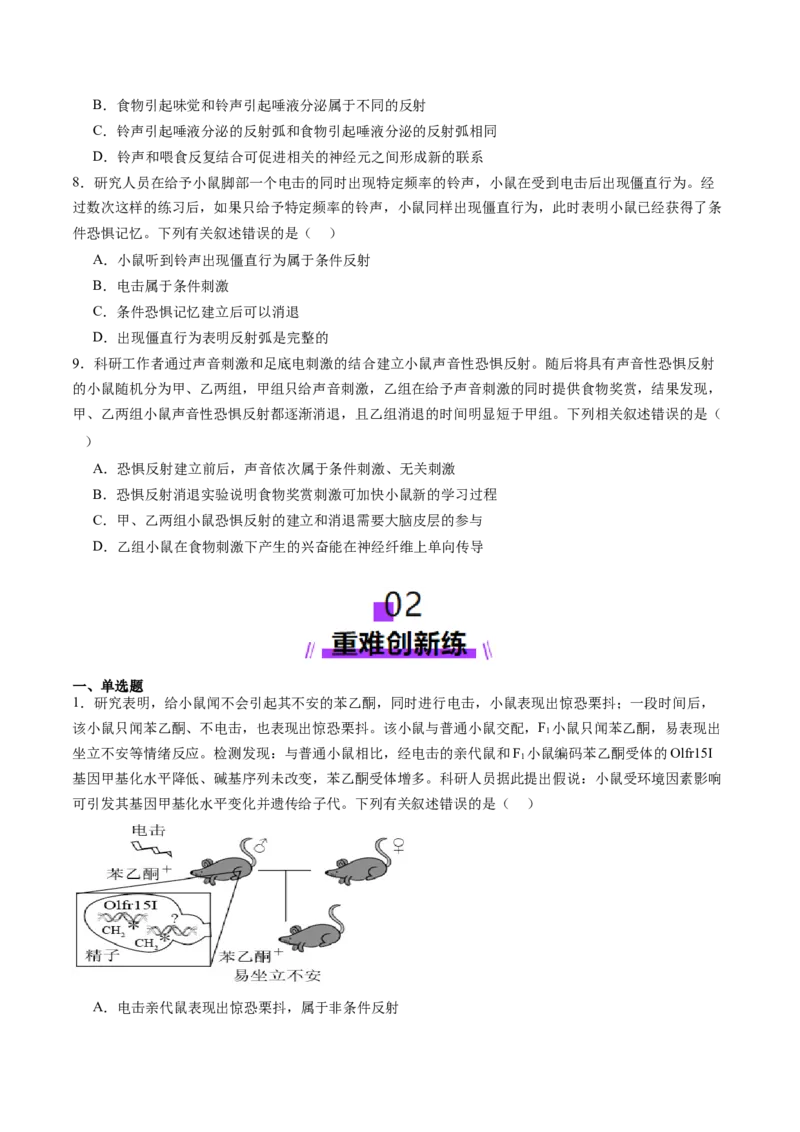 第25讲神经调节（第一课时，神经调节的结构基础及基本方式）（练习）（原卷版）_2025年新高考资料_一轮复习_2025年高考生物一轮复习讲练测（新教材新高考）