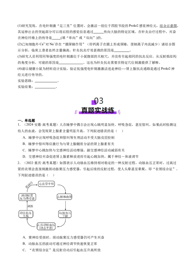 第25讲神经调节（第一课时，神经调节的结构基础及基本方式）（练习）（原卷版）_2025年新高考资料_一轮复习_2025年高考生物一轮复习讲练测（新教材新高考）