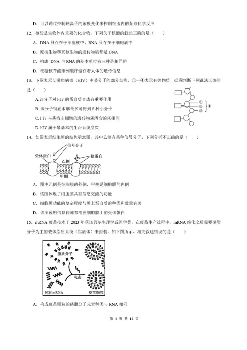 山东省济南第一中学2025-2026学年高一上学期期中生物试题含答案_2025年12月高一试卷_251218山东省济南第一中学2025-2026学年高一上学期期中学情检测