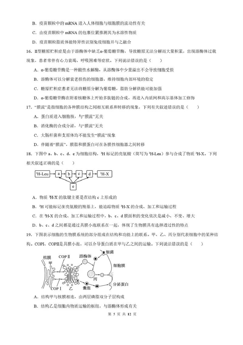 山东省济南第一中学2025-2026学年高一上学期期中生物试题含答案_2025年12月高一试卷_251218山东省济南第一中学2025-2026学年高一上学期期中学情检测