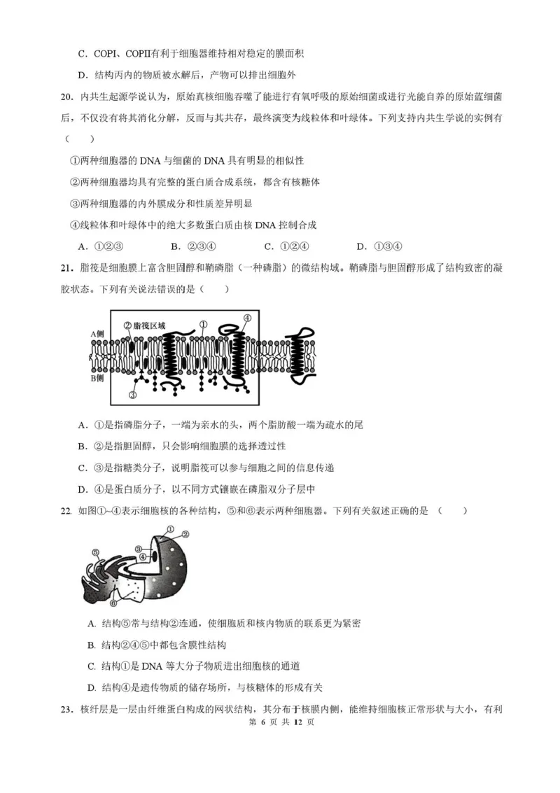 山东省济南第一中学2025-2026学年高一上学期期中生物试题含答案_2025年12月高一试卷_251218山东省济南第一中学2025-2026学年高一上学期期中学情检测