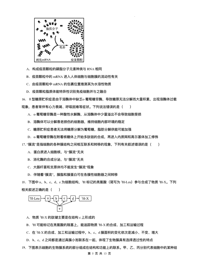 山东省济南第一中学2025-2026学年高一上学期期中生物试题含答案_2025年12月高一试卷_251218山东省济南第一中学2025-2026学年高一上学期期中学情检测