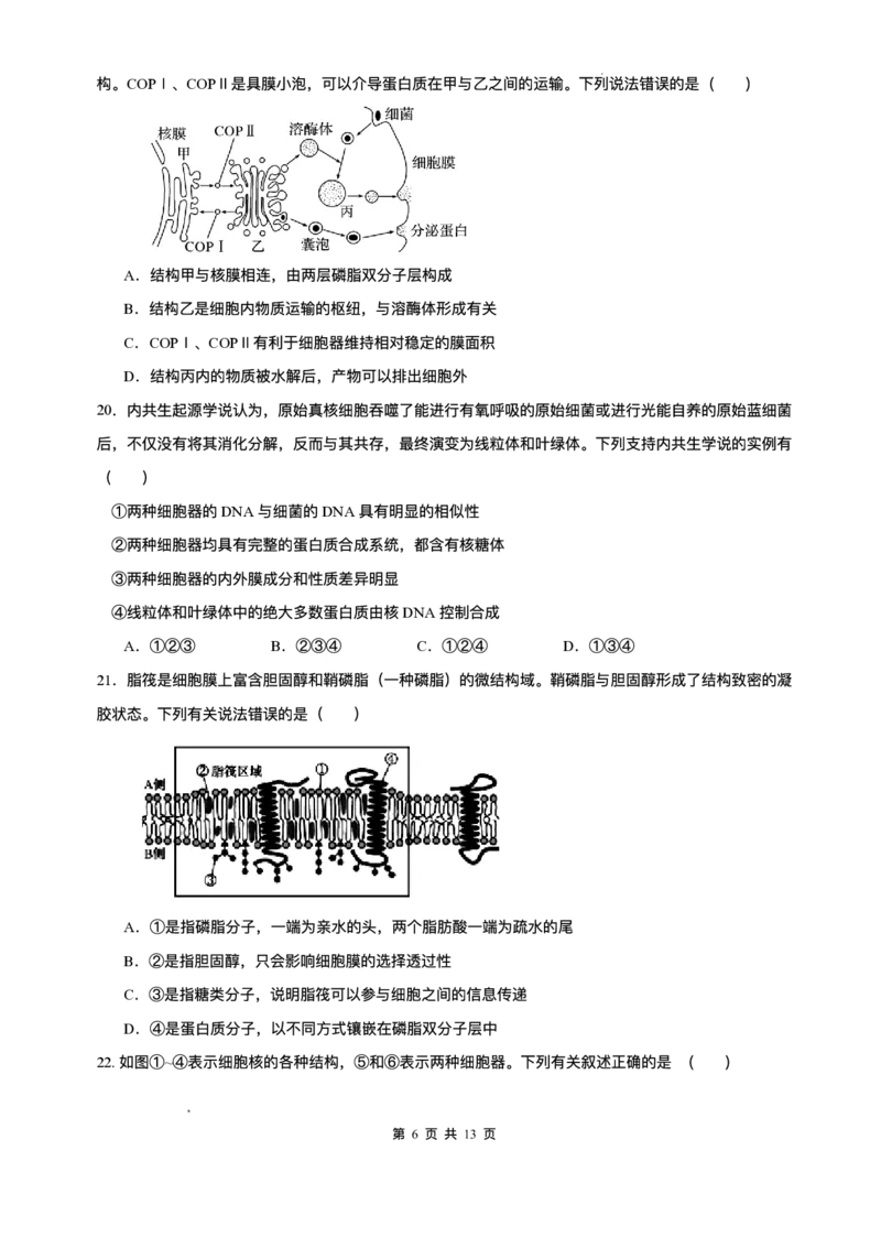 山东省济南第一中学2025-2026学年高一上学期期中生物试题含答案_2025年12月高一试卷_251218山东省济南第一中学2025-2026学年高一上学期期中学情检测
