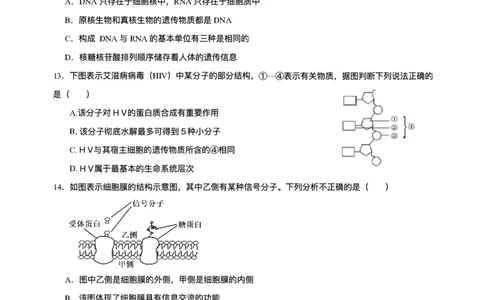 山东省济南第一中学2025-2026学年高一上学期期中生物试题含答案_2025年12月高一试卷_251218山东省济南第一中学2025-2026学年高一上学期期中学情检测