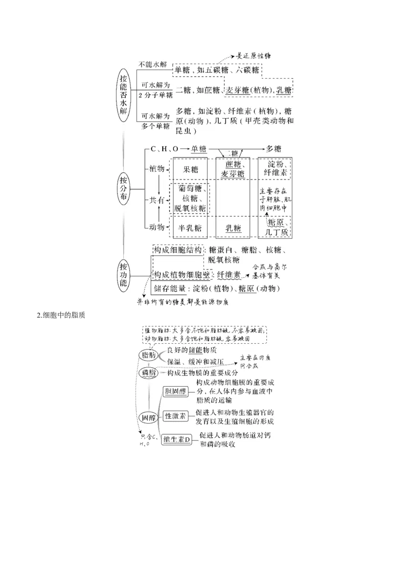 考向01组成细胞的分子-备战2023年高考生物一轮复习考点微专题（全国通用）（解析版）(1)_通用版（老高考）复习资料_2023年复习资料_一轮复习