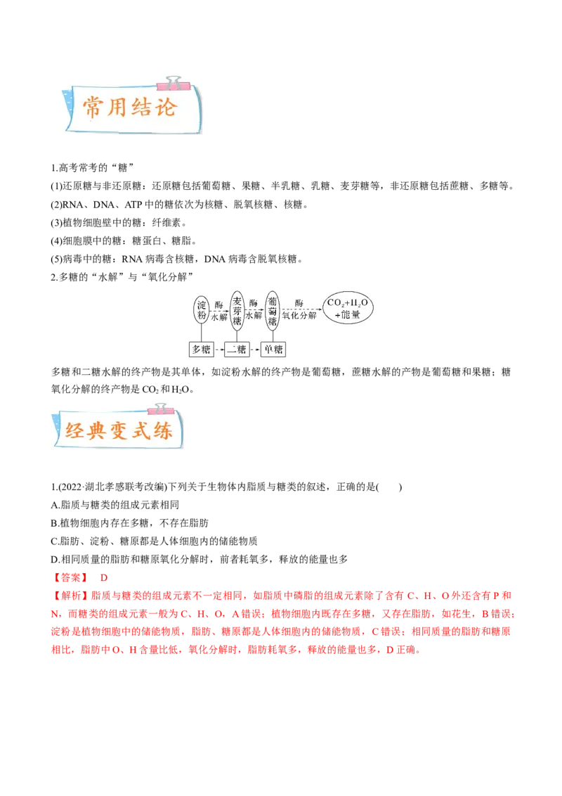 考向01组成细胞的分子-备战2023年高考生物一轮复习考点微专题（全国通用）（解析版）(1)_通用版（老高考）复习资料_2023年复习资料_一轮复习