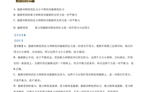 广西百色市普通高中2024-2025学年高一上学期期末教学质量调研物理试题Word版含解析_2025年03月试卷_0319广西壮族自治区百色市2024-2025学年高一上学期1月期末考试