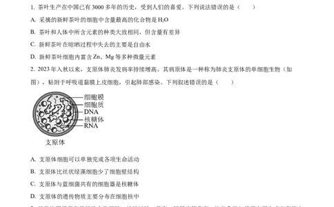 广西壮族自治区贺州市2023-2024学年高一上学期期末考试生物试题Word版无答案_2024年12月试卷_1223广西壮族自治区贺州市2023-2024学年高一上学期期末考试
