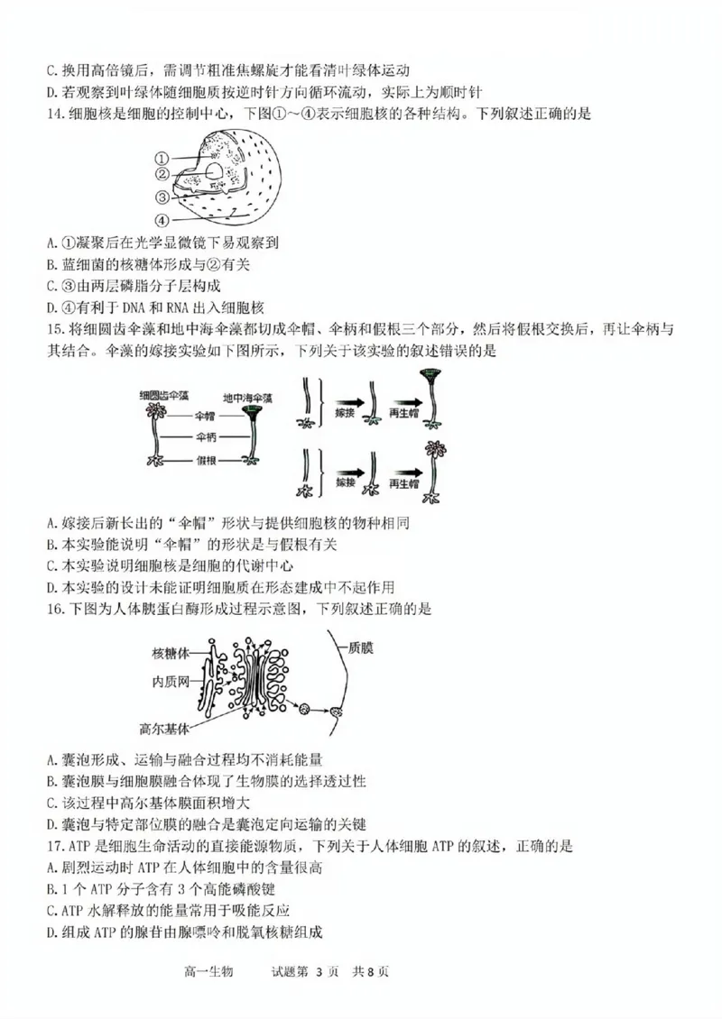 生物试题_2025年11月高一试卷_251128浙江省台金七校联盟2025-2026学年高一上学期11月期中联考_浙江省台金七校联盟2025-2026学年高一上学期11月期中联考生物试题含答案