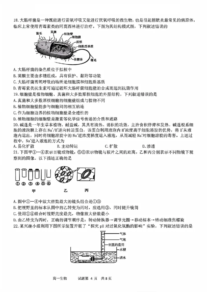 生物试题_2025年11月高一试卷_251128浙江省台金七校联盟2025-2026学年高一上学期11月期中联考_浙江省台金七校联盟2025-2026学年高一上学期11月期中联考生物试题含答案