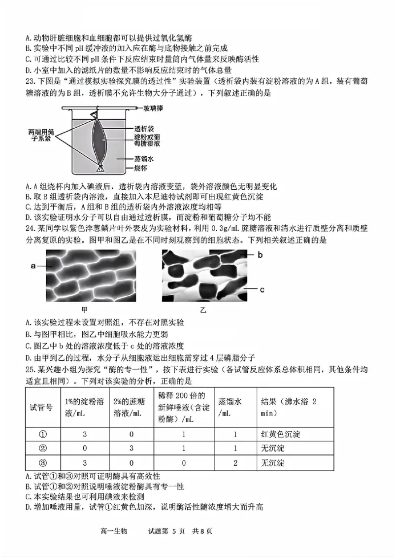 生物试题_2025年11月高一试卷_251128浙江省台金七校联盟2025-2026学年高一上学期11月期中联考_浙江省台金七校联盟2025-2026学年高一上学期11月期中联考生物试题含答案