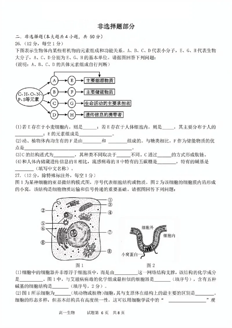 生物试题_2025年11月高一试卷_251128浙江省台金七校联盟2025-2026学年高一上学期11月期中联考_浙江省台金七校联盟2025-2026学年高一上学期11月期中联考生物试题含答案