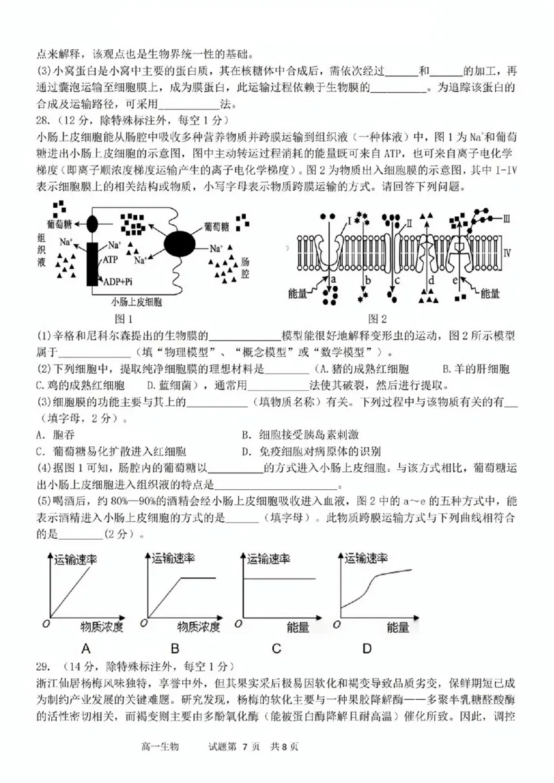生物试题_2025年11月高一试卷_251128浙江省台金七校联盟2025-2026学年高一上学期11月期中联考_浙江省台金七校联盟2025-2026学年高一上学期11月期中联考生物试题含答案