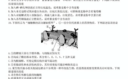 生物试题_2025年11月高一试卷_251128浙江省台金七校联盟2025-2026学年高一上学期11月期中联考_浙江省台金七校联盟2025-2026学年高一上学期11月期中联考生物试题含答案