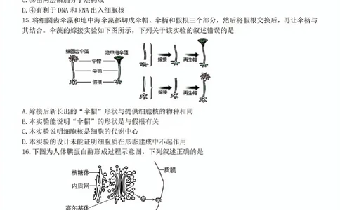 生物试题_2025年11月高一试卷_251128浙江省台金七校联盟2025-2026学年高一上学期11月期中联考_浙江省台金七校联盟2025-2026学年高一上学期11月期中联考生物试题含答案