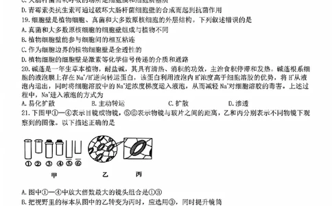 生物试题_2025年11月高一试卷_251128浙江省台金七校联盟2025-2026学年高一上学期11月期中联考_浙江省台金七校联盟2025-2026学年高一上学期11月期中联考生物试题含答案