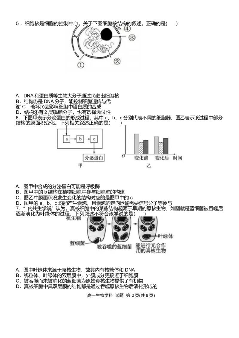 浙江省温州新力量联盟2024-2025学年高一下学期4月期中联考生物试卷_2025年05月试卷_0519浙江省温州新力量联盟2024-2025学年高一下学期4月期中联考试题