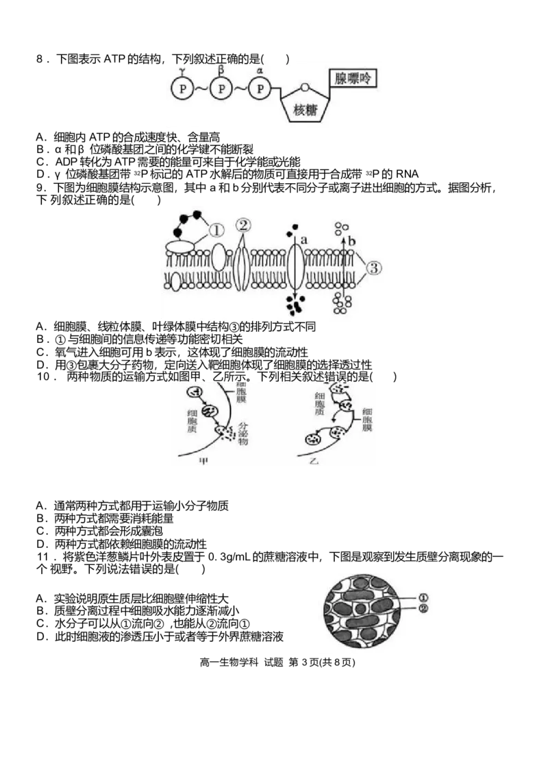 浙江省温州新力量联盟2024-2025学年高一下学期4月期中联考生物试卷_2025年05月试卷_0519浙江省温州新力量联盟2024-2025学年高一下学期4月期中联考试题