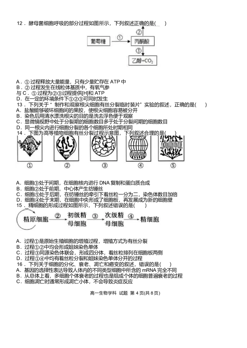 浙江省温州新力量联盟2024-2025学年高一下学期4月期中联考生物试卷_2025年05月试卷_0519浙江省温州新力量联盟2024-2025学年高一下学期4月期中联考试题