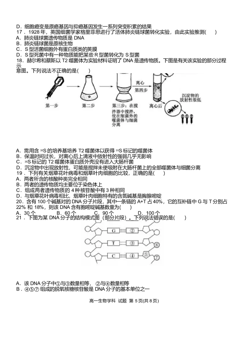 浙江省温州新力量联盟2024-2025学年高一下学期4月期中联考生物试卷_2025年05月试卷_0519浙江省温州新力量联盟2024-2025学年高一下学期4月期中联考试题