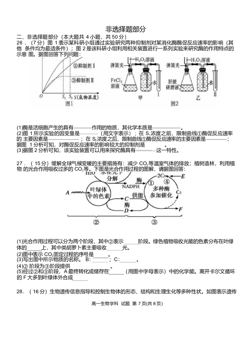 浙江省温州新力量联盟2024-2025学年高一下学期4月期中联考生物试卷_2025年05月试卷_0519浙江省温州新力量联盟2024-2025学年高一下学期4月期中联考试题