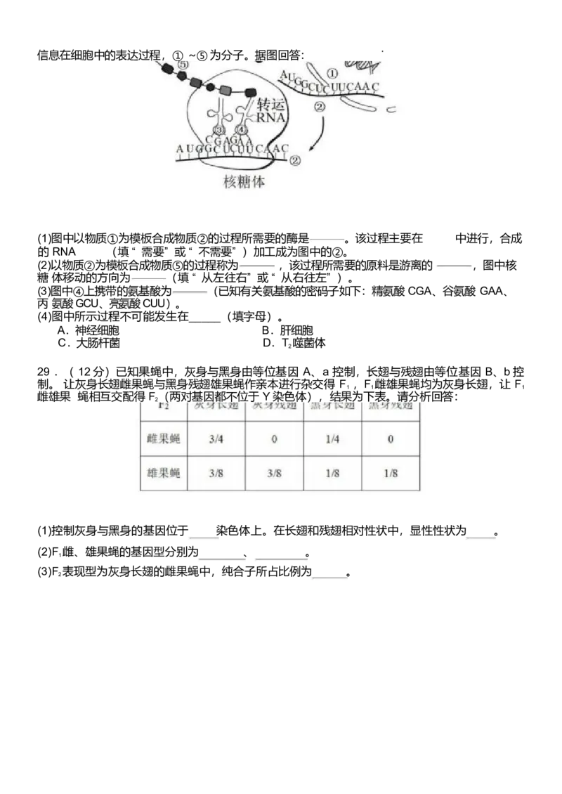 浙江省温州新力量联盟2024-2025学年高一下学期4月期中联考生物试卷_2025年05月试卷_0519浙江省温州新力量联盟2024-2025学年高一下学期4月期中联考试题