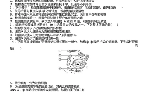 浙江省温州新力量联盟2024-2025学年高一下学期4月期中联考生物试卷_2025年05月试卷_0519浙江省温州新力量联盟2024-2025学年高一下学期4月期中联考试题