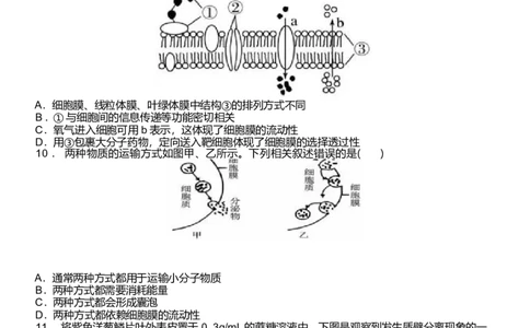 浙江省温州新力量联盟2024-2025学年高一下学期4月期中联考生物试卷_2025年05月试卷_0519浙江省温州新力量联盟2024-2025学年高一下学期4月期中联考试题