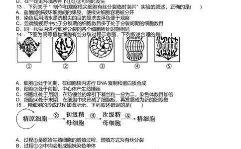 浙江省温州新力量联盟2024-2025学年高一下学期4月期中联考生物试卷_2025年05月试卷_0519浙江省温州新力量联盟2024-2025学年高一下学期4月期中联考试题