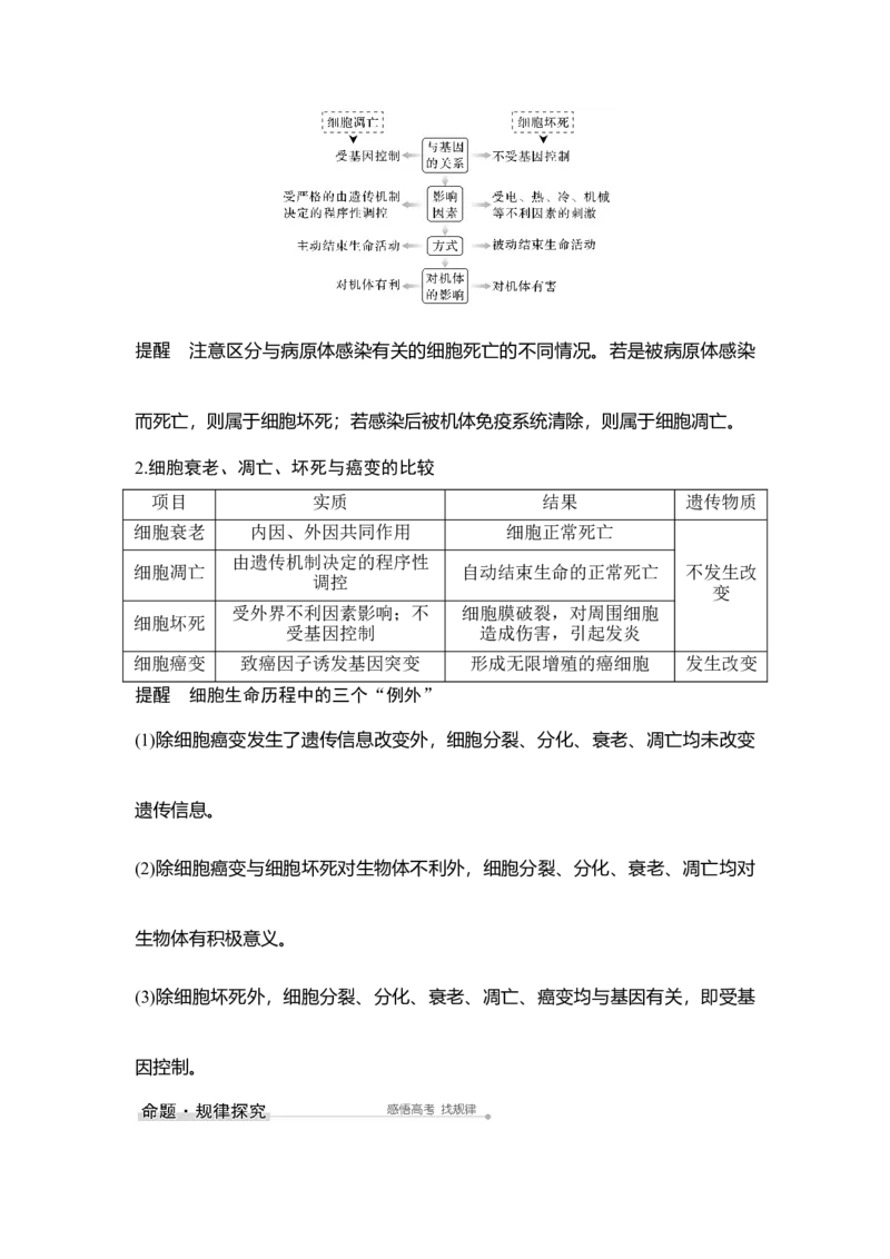 第12讲细胞的分化、衰老、凋亡与癌变_通用版（老高考）复习资料_2023年复习资料_一轮复习_2023年高考生物一轮复习讲义+课件（全国版）_2023年高考生物一轮复习讲义（全国版）