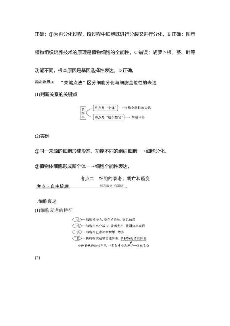 第12讲细胞的分化、衰老、凋亡与癌变_通用版（老高考）复习资料_2023年复习资料_一轮复习_2023年高考生物一轮复习讲义+课件（全国版）_2023年高考生物一轮复习讲义（全国版）