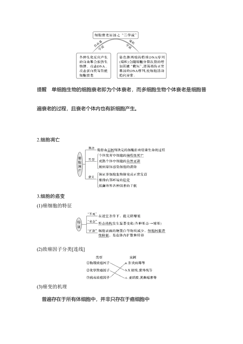 第12讲细胞的分化、衰老、凋亡与癌变_通用版（老高考）复习资料_2023年复习资料_一轮复习_2023年高考生物一轮复习讲义+课件（全国版）_2023年高考生物一轮复习讲义（全国版）