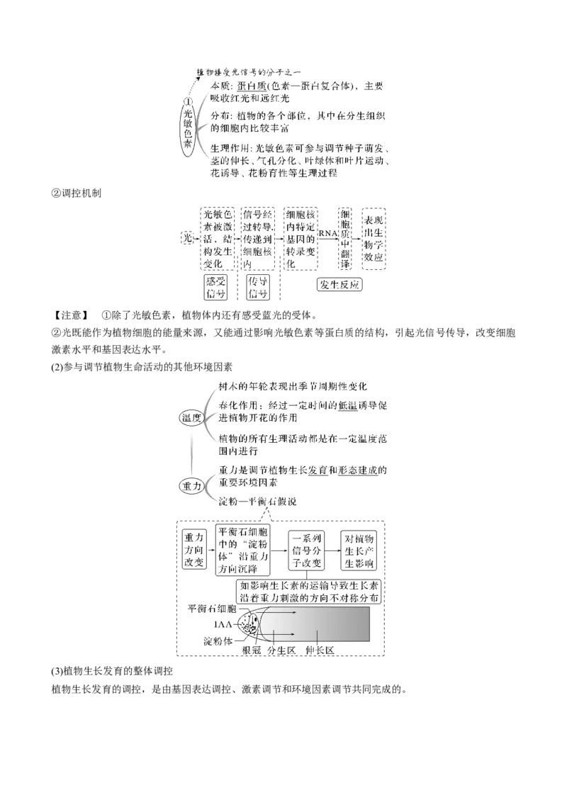 考向20植物生命活动的调节-备战2023年高考生物一轮复习考点微专题（全国通用）（解析版）_通用版（老高考）复习资料_2023年复习资料_一轮复习