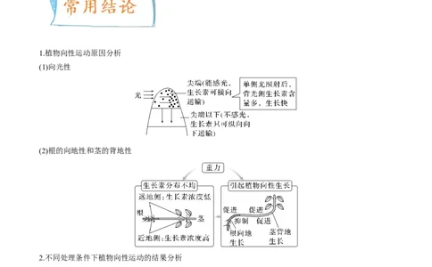考向20植物生命活动的调节-备战2023年高考生物一轮复习考点微专题（全国通用）（解析版）_通用版（老高考）复习资料_2023年复习资料_一轮复习