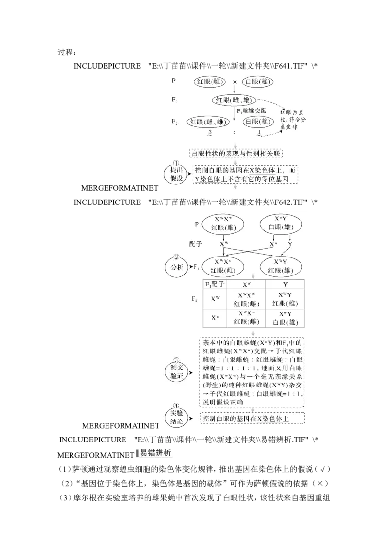 第15讲伴性遗传和人类遗传病_新高考复习资料_2024年新高考复习资料_一轮复习资料_完2024生物步步高大一轮复习（课件+讲义）_2024年高考生物一轮复习讲义（新人教版）_必修2