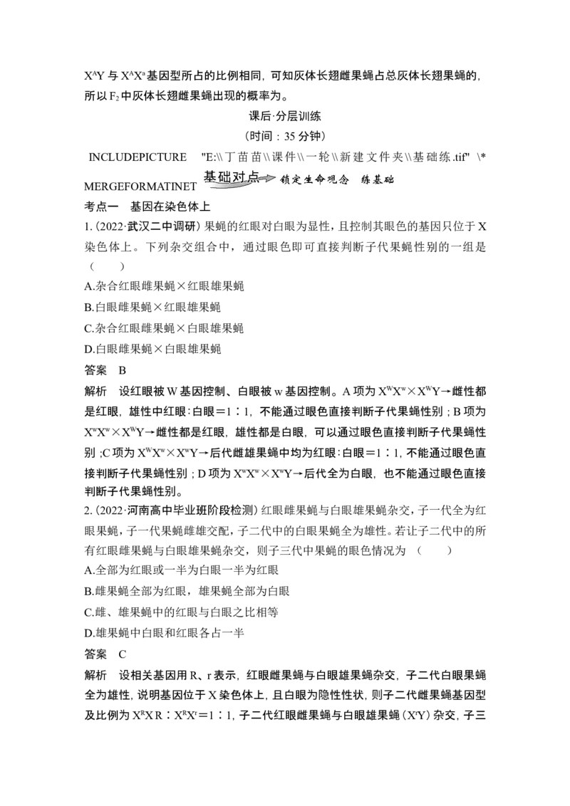 第15讲伴性遗传和人类遗传病_新高考复习资料_2024年新高考复习资料_一轮复习资料_完2024生物步步高大一轮复习（课件+讲义）_2024年高考生物一轮复习讲义（新人教版）_必修2