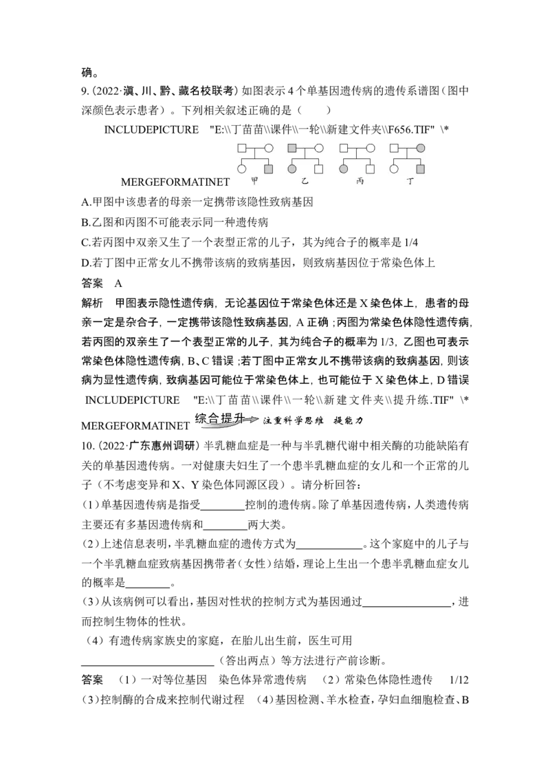 第15讲伴性遗传和人类遗传病_新高考复习资料_2024年新高考复习资料_一轮复习资料_完2024生物步步高大一轮复习（课件+讲义）_2024年高考生物一轮复习讲义（新人教版）_必修2