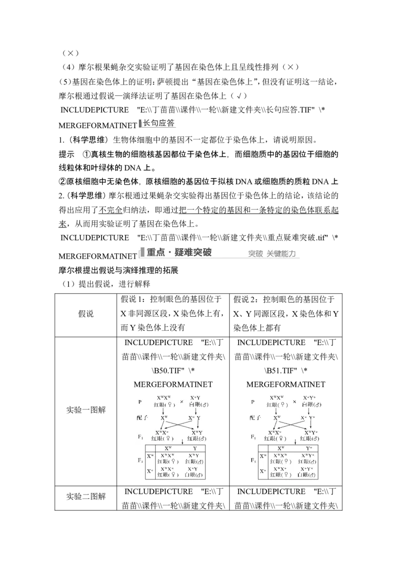 第15讲伴性遗传和人类遗传病_新高考复习资料_2024年新高考复习资料_一轮复习资料_完2024生物步步高大一轮复习（课件+讲义）_2024年高考生物一轮复习讲义（新人教版）_必修2