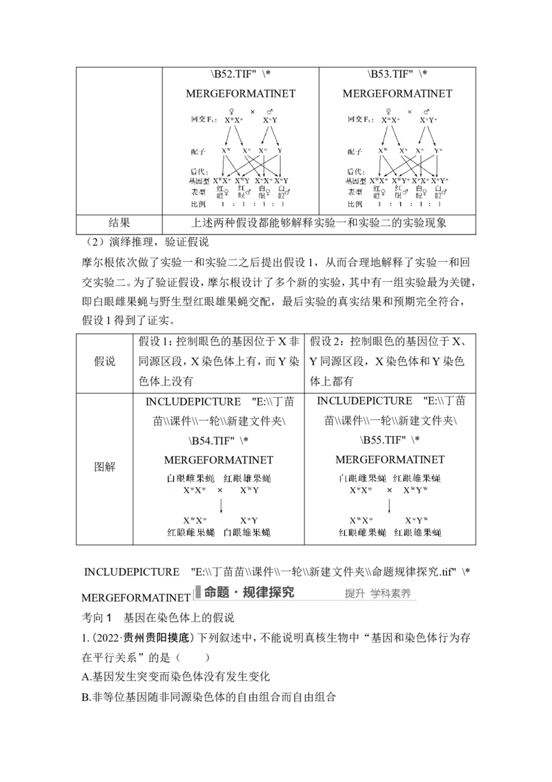 第15讲伴性遗传和人类遗传病_新高考复习资料_2024年新高考复习资料_一轮复习资料_完2024生物步步高大一轮复习（课件+讲义）_2024年高考生物一轮复习讲义（新人教版）_必修2