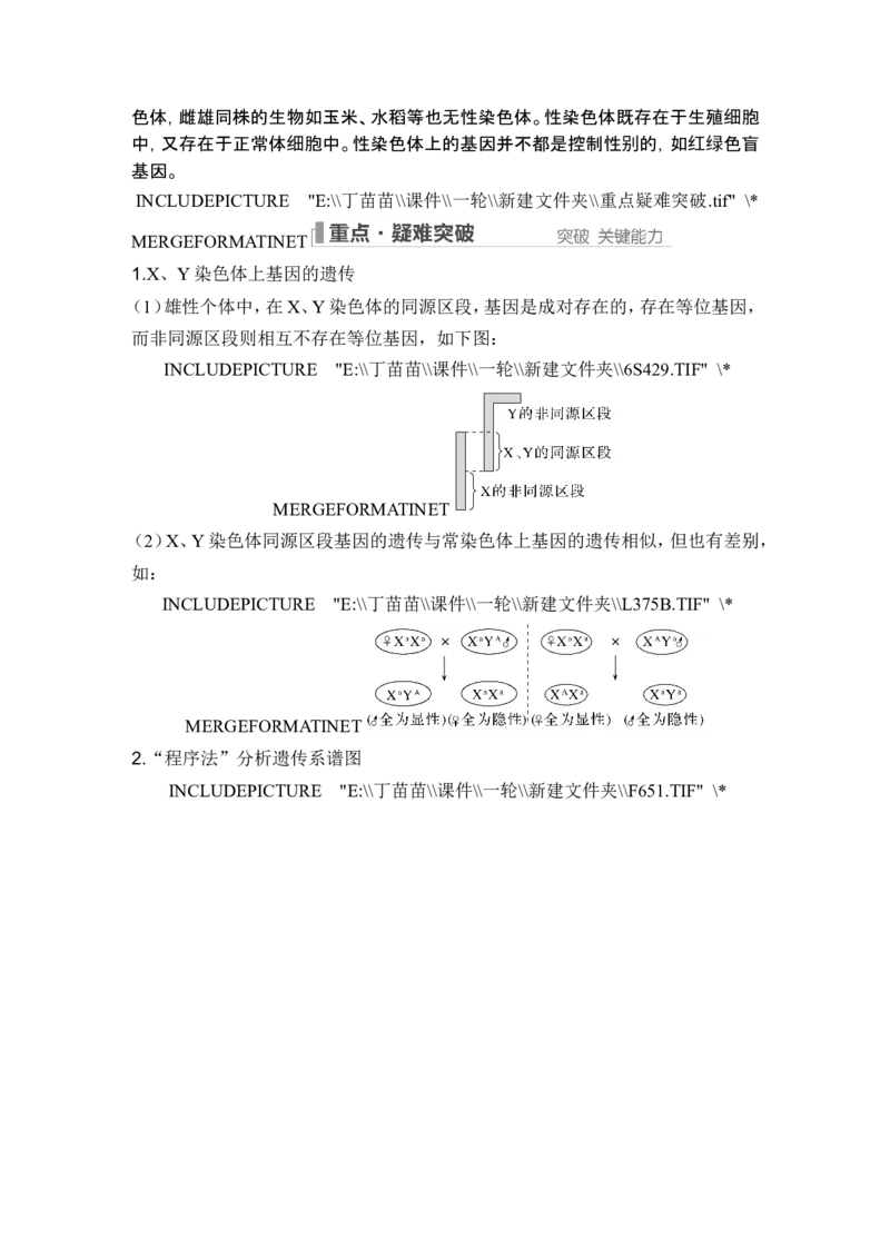 第15讲伴性遗传和人类遗传病_新高考复习资料_2024年新高考复习资料_一轮复习资料_完2024生物步步高大一轮复习（课件+讲义）_2024年高考生物一轮复习讲义（新人教版）_必修2
