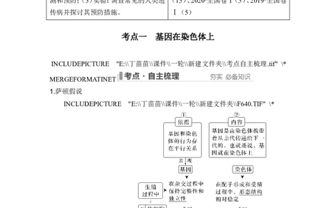 第15讲伴性遗传和人类遗传病_新高考复习资料_2024年新高考复习资料_一轮复习资料_完2024生物步步高大一轮复习（课件+讲义）_2024年高考生物一轮复习讲义（新人教版）_必修2