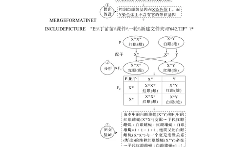 第15讲伴性遗传和人类遗传病_新高考复习资料_2024年新高考复习资料_一轮复习资料_完2024生物步步高大一轮复习（课件+讲义）_2024年高考生物一轮复习讲义（新人教版）_必修2