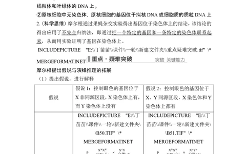 第15讲伴性遗传和人类遗传病_新高考复习资料_2024年新高考复习资料_一轮复习资料_完2024生物步步高大一轮复习（课件+讲义）_2024年高考生物一轮复习讲义（新人教版）_必修2