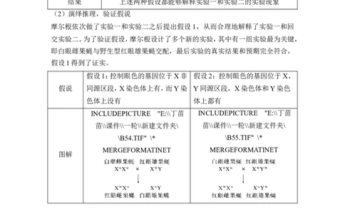 第15讲伴性遗传和人类遗传病_新高考复习资料_2024年新高考复习资料_一轮复习资料_完2024生物步步高大一轮复习（课件+讲义）_2024年高考生物一轮复习讲义（新人教版）_必修2