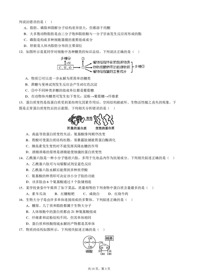 成都市第七中学2025-2026学年高一上学期11月半期考试生物_2025年11月高一试卷_251122四川省成都市第七中学2025-2026学年高一上学期11月半期考试（全）