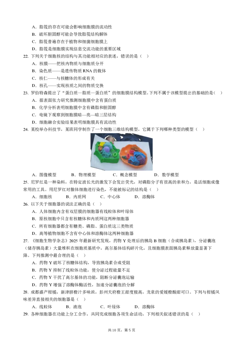 成都市第七中学2025-2026学年高一上学期11月半期考试生物_2025年11月高一试卷_251122四川省成都市第七中学2025-2026学年高一上学期11月半期考试（全）